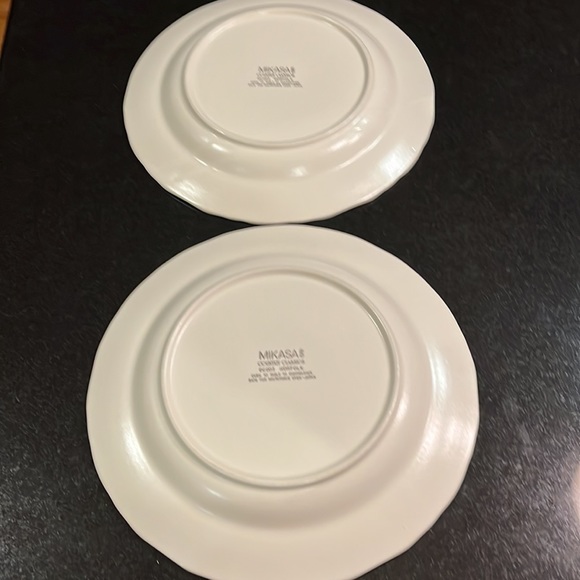 11" Dinner Plate - Mikasa Country Classics Norfolk (Set of 2) - Picture 7 of 8